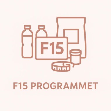 F15 programmet