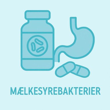 Mælkesyrebakterier