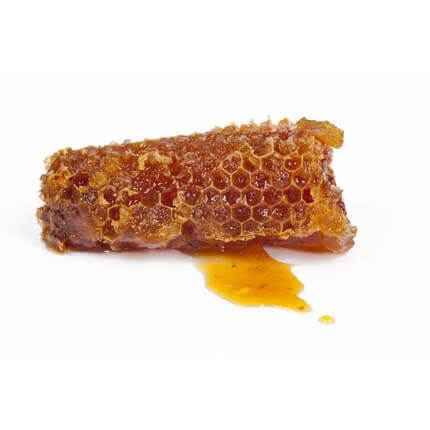 Propolis fra bierne