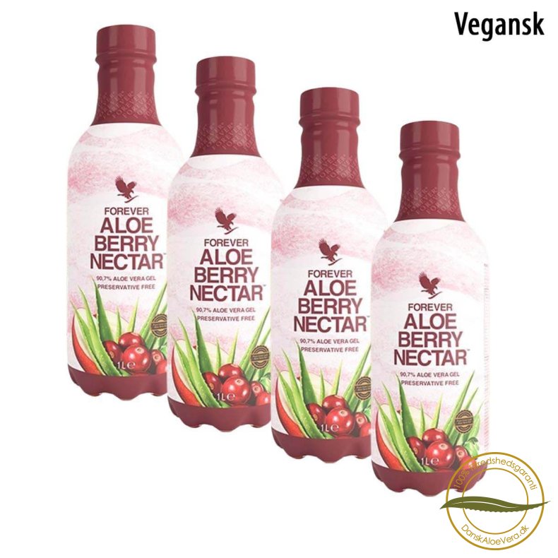 Aloe Berry Nectar 4 pak