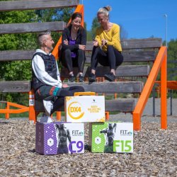 FIT programmet