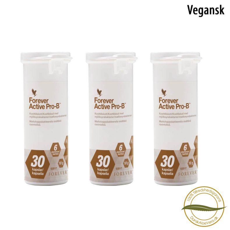 More Active - Vegansk m�lkesyrer